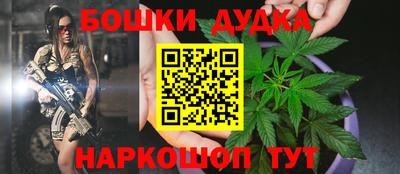 прущие грибы Вязьма
