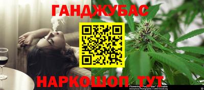 прущие грибы Вязьма