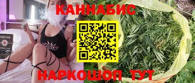 прущие грибы Вязьма